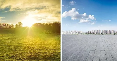 Censusregistret och befolkningens rörlighet: från stad till land och tillbaka igen